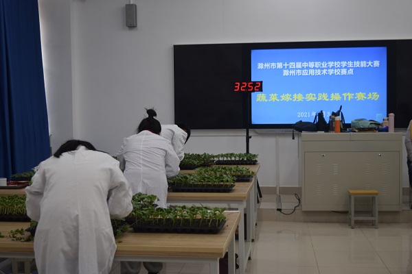 图9蔬菜嫁接.JPG