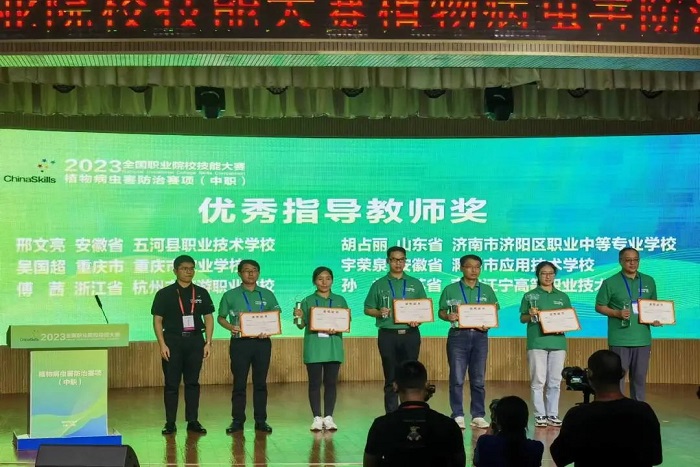 虫赛3.jpg