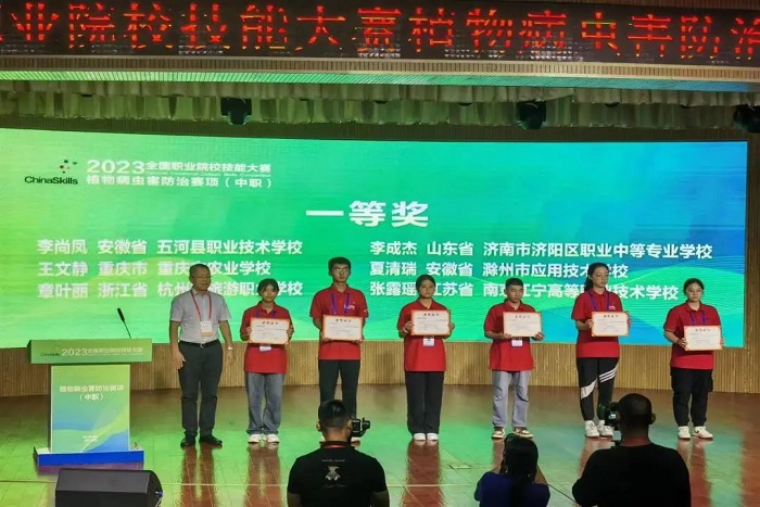 虫赛2.jpg