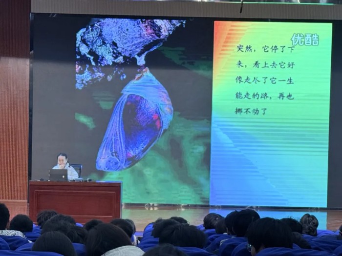 640 (2).jpg 640 (2).jpg